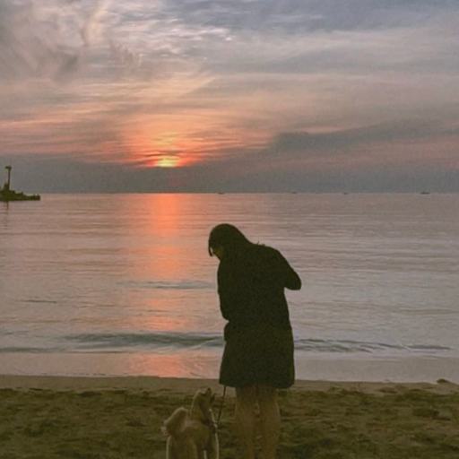 Profile image for pet sitter YeonJeong