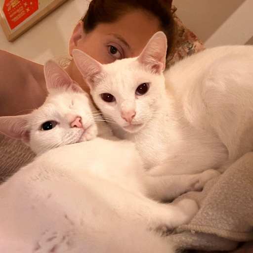 Profile image for pet sitter Briza