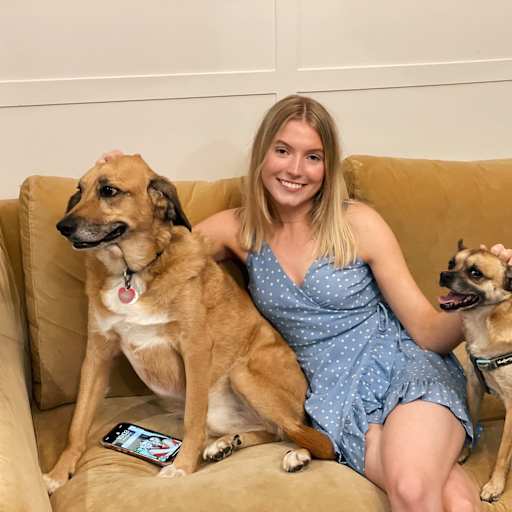 Profile image for pet sitter Sophie