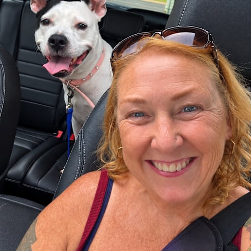 Profile image for pet sitter Sue
