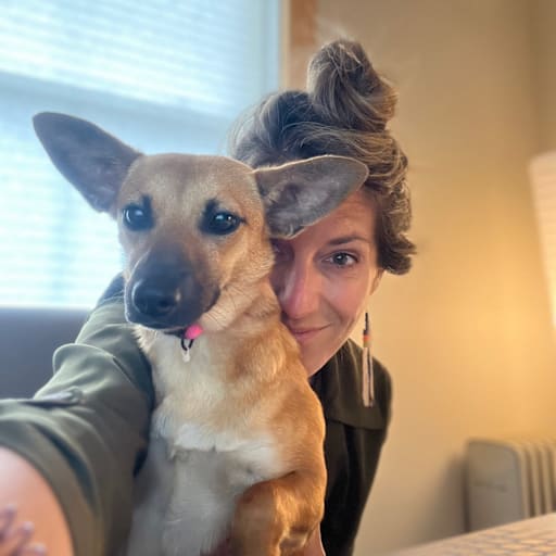 Profile image for pet sitter Alison