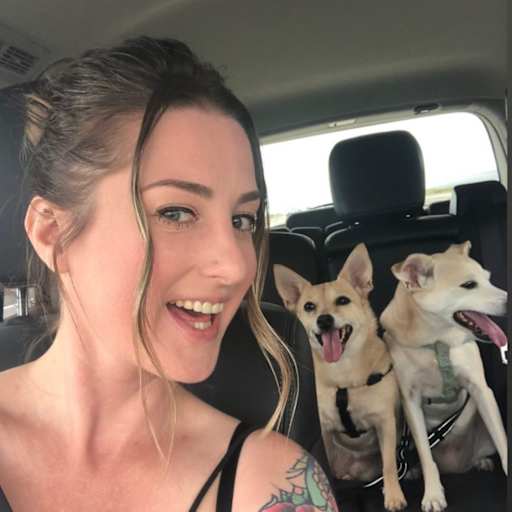 Profile image for pet sitter Kat