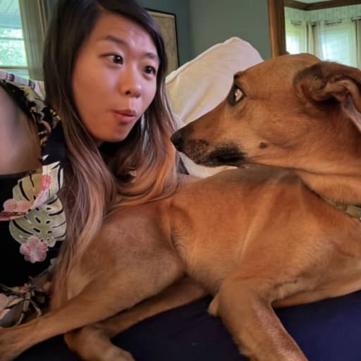 Profile image for pet sitter Rose