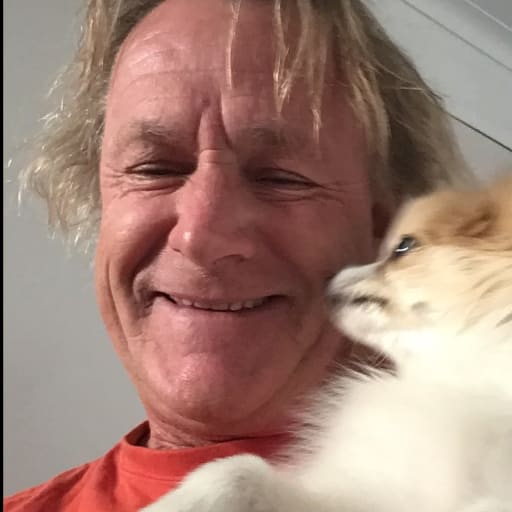 Profile image for pet sitter David