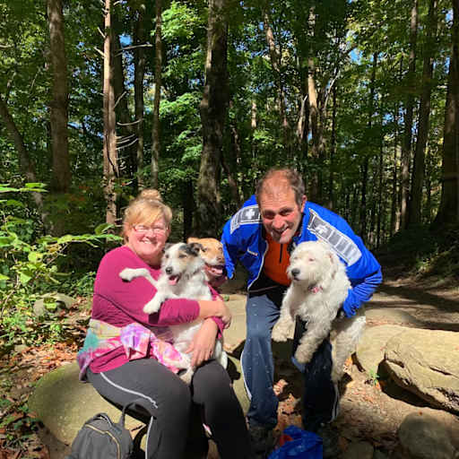 Profile image for pet sitter Diane