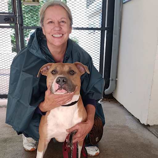 Profile image for pet sitter Angela