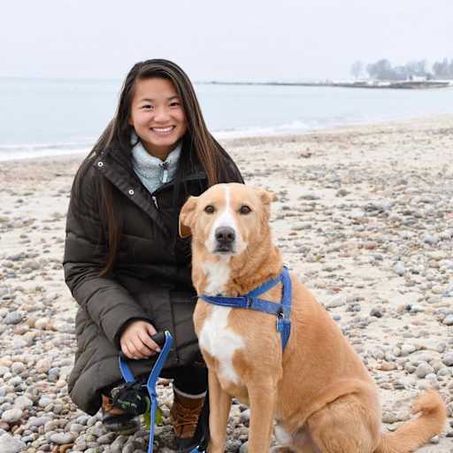 Profile image for pet sitter Lia