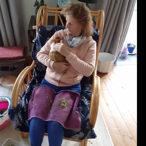 Profile image for pet sitter jan