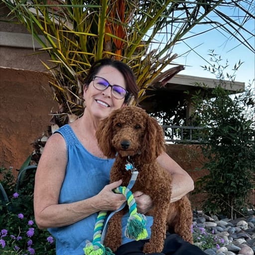 Profile image for pet sitter Susan