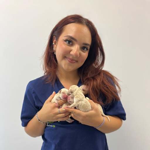Profile image for pet sitter Marlene