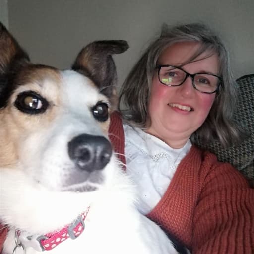 Profile image for pet sitter Avril