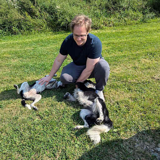 Profile image for pet sitter David