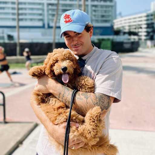 Profile image for pet sitter marlon