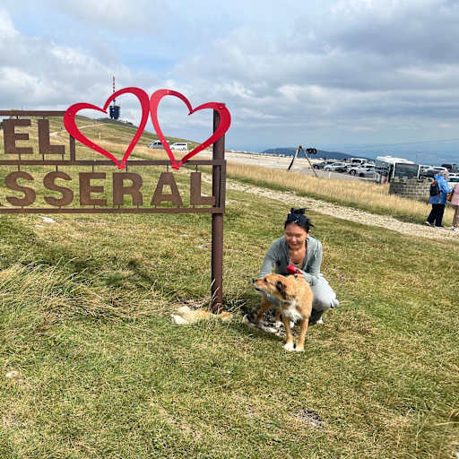 Profile image for pet sitters Lisi & Miłosz