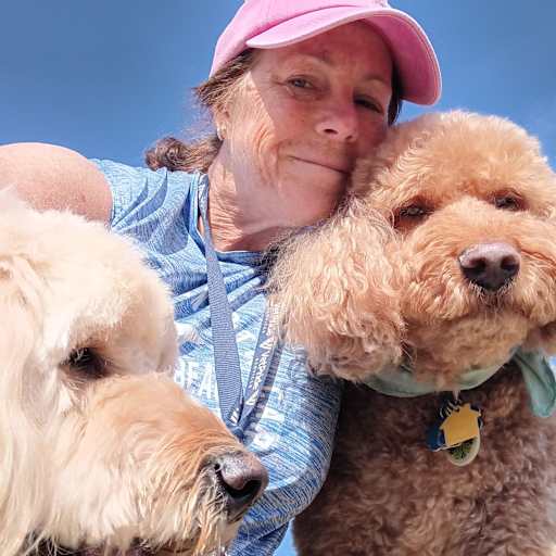 Profile image for pet sitter Lisa