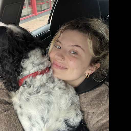 Profile image for pet sitter Phoebe