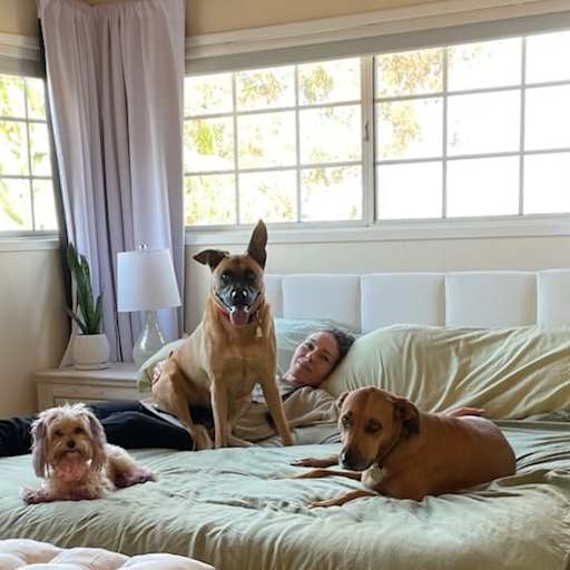 Profile image for pet sitter Denali