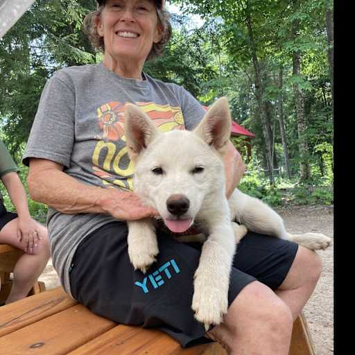 Profile image for pet sitter KD