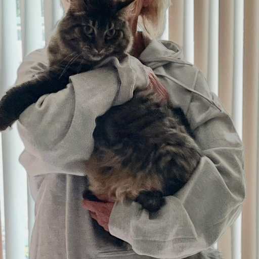 Profile image for pet sitters Emilie & Cynthia