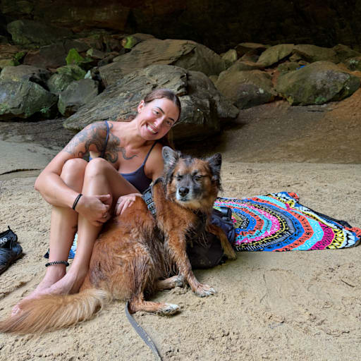 Profile image for pet sitter sophia