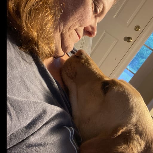 Profile image for pet sitter Elizabeth