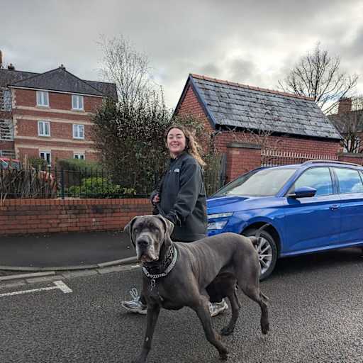 Profile image for pet sitter Sarah