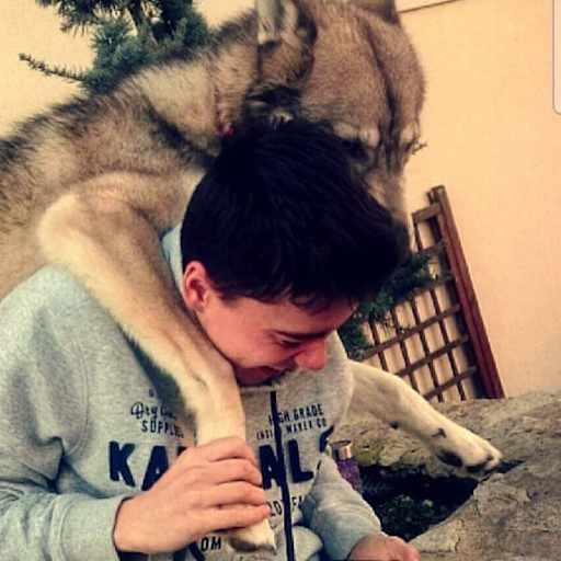 Profile image for pet sitter Killian