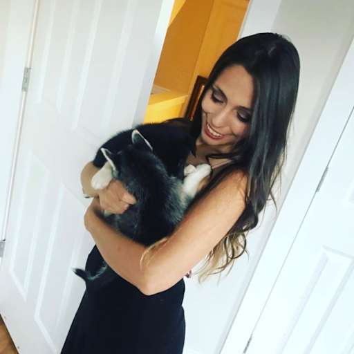 Profile image for pet sitter Shalom