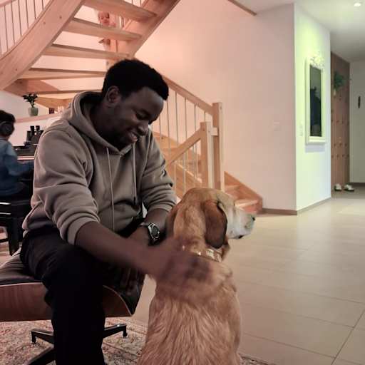 Profile image for pet sitter Lewis