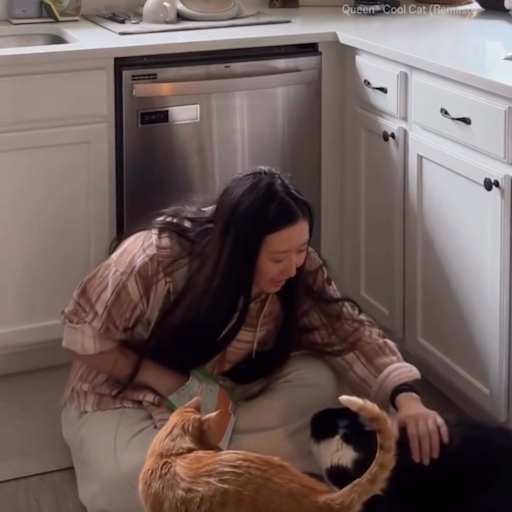 Profile image for pet sitter Ann