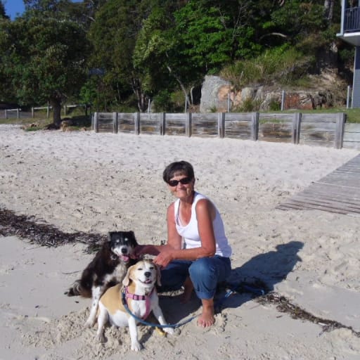 Profile image for pet sitters Irene & Kevin