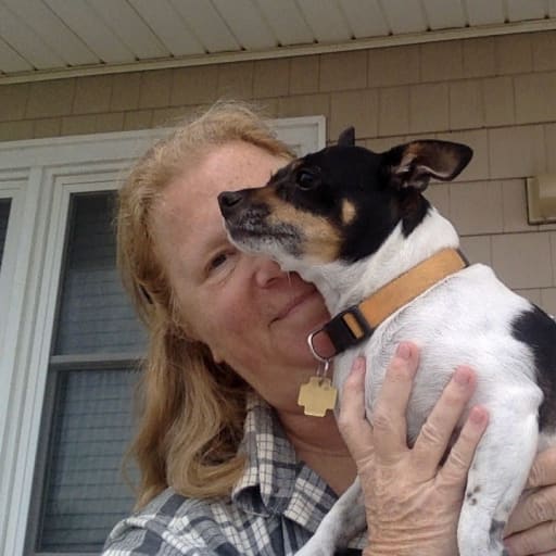 Profile image for pet sitter Kristin
