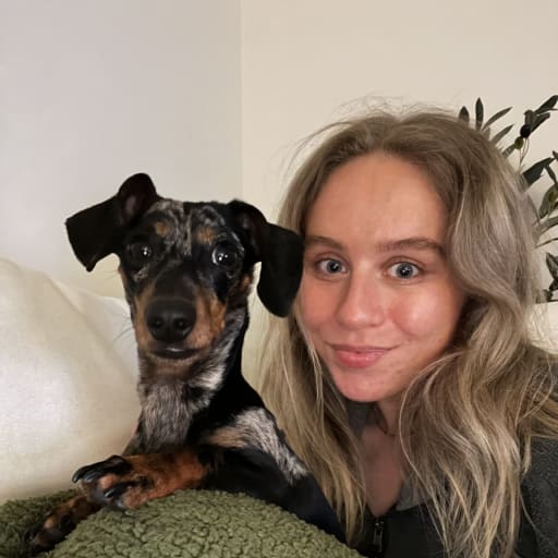 Profile image for pet sitter Harriet