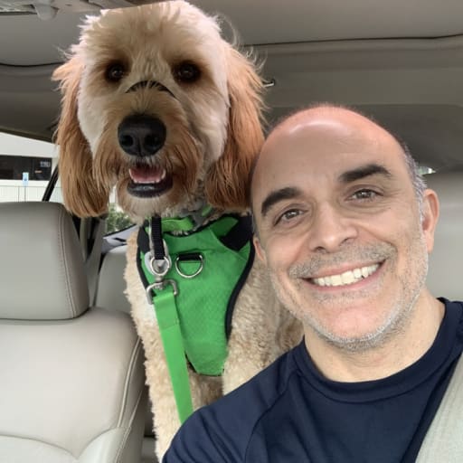 Profile image for pet sitter Mark