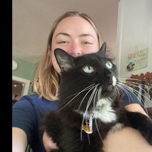 Profile image for pet sitter Rachel