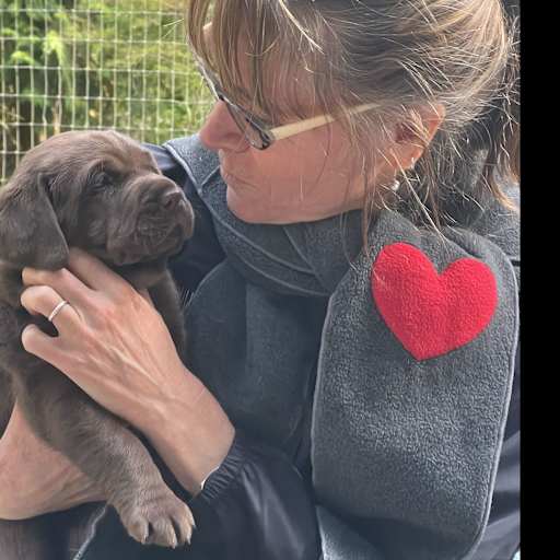 Profile image for pet sitters Teresa & Brett