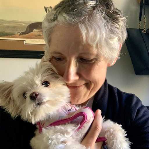 Profile image for pet sitter sara