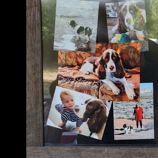Profile image for pet sitters Brian & Patrica (trish)