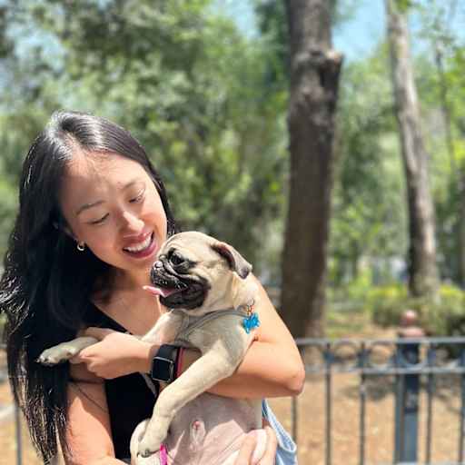 Profile image for pet sitter Suzanne