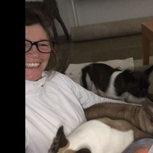 Profile image for pet sitters Clare & Gavin 