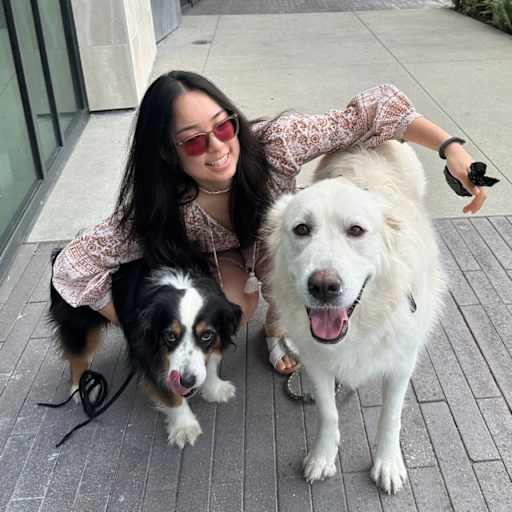 Profile image for pet sitter Eunjee