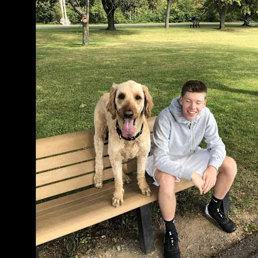 Profile image for pet sitter Jordan