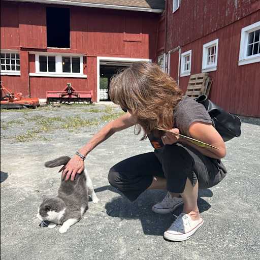 Profile image for pet sitter Kelley