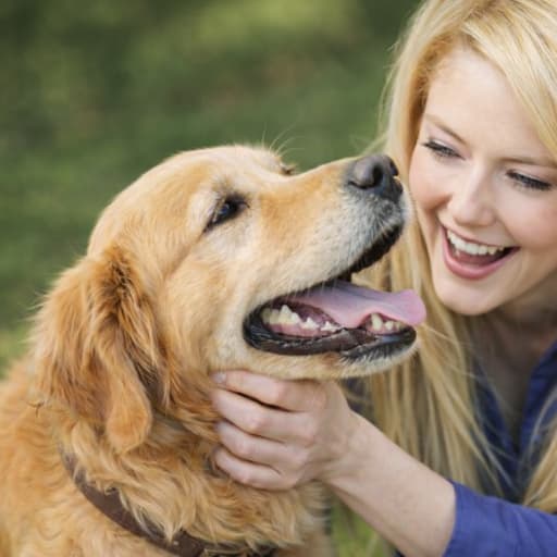 Profile image for pet sitter Mary