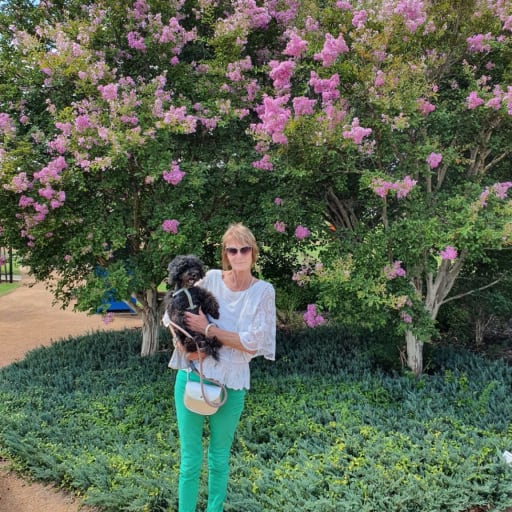 Find a Pet Sitter in Mount Martha, Victoria, Australia