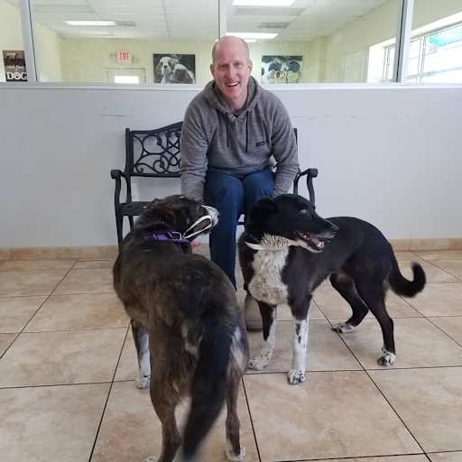 Profile image for pet sitters Michael & Cassie