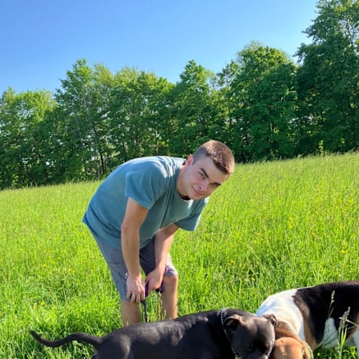 Profile image for pet sitter Stephen