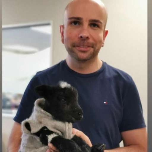 Profile image for pet sitter eduardo