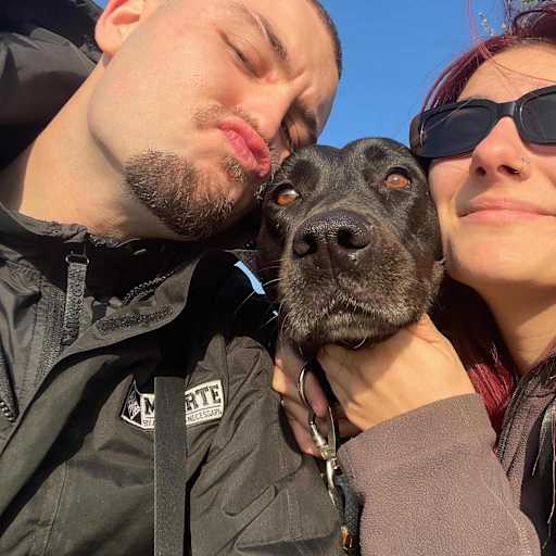 Profile image for pet sitter Anna Maria