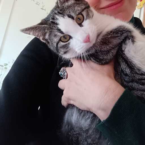 Profile image for pet sitter Laura